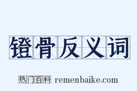 镫骨反义词是什么意思的图片